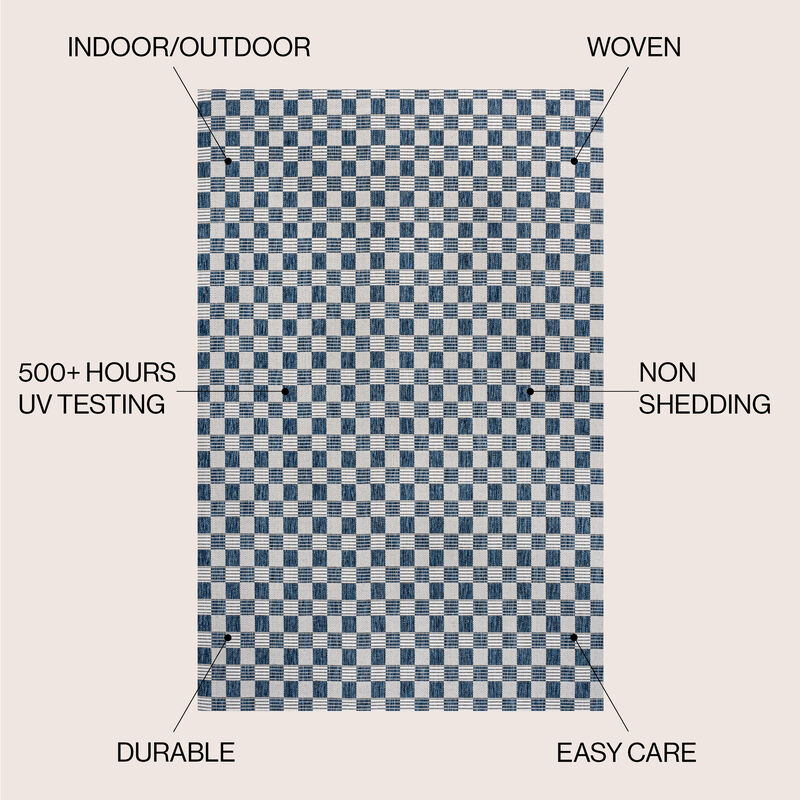 Aimee Traditional Cottage Checkerboard Indoor/Outdoor Area Rug