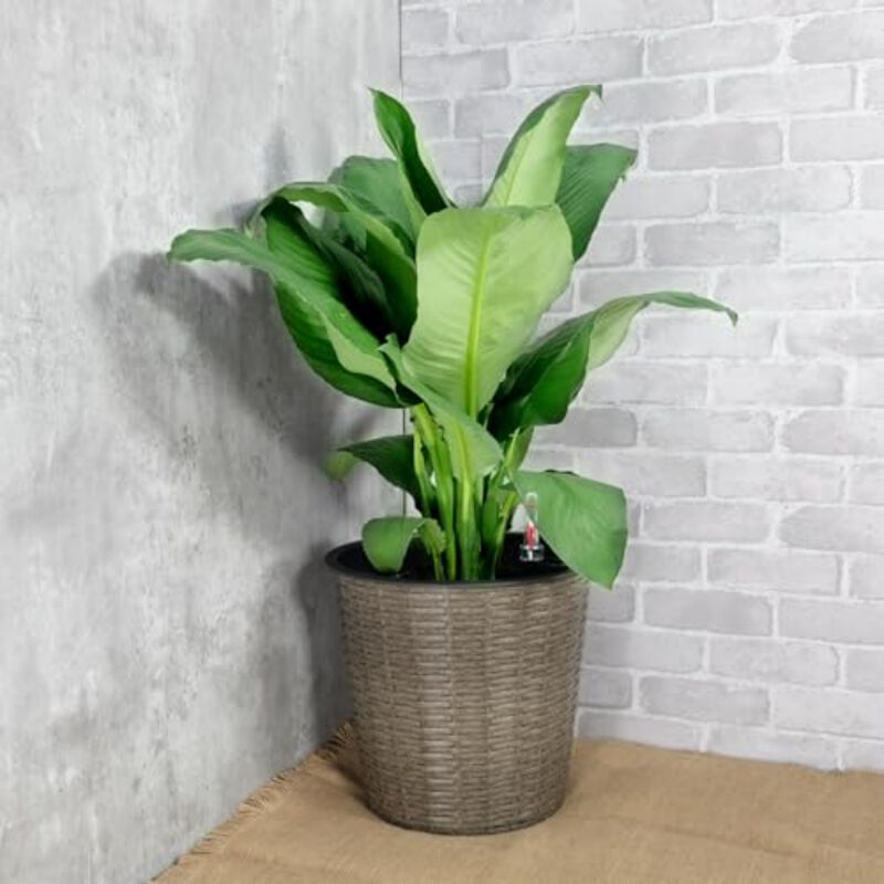 10.2" Self-watering Wicker Decor Round Planter for Indoor and Outdoor image number 2