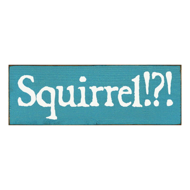 Squirrel Wood Sign Rustic Farmhouse Wall Decor for Living Room, Cabin or Entryway