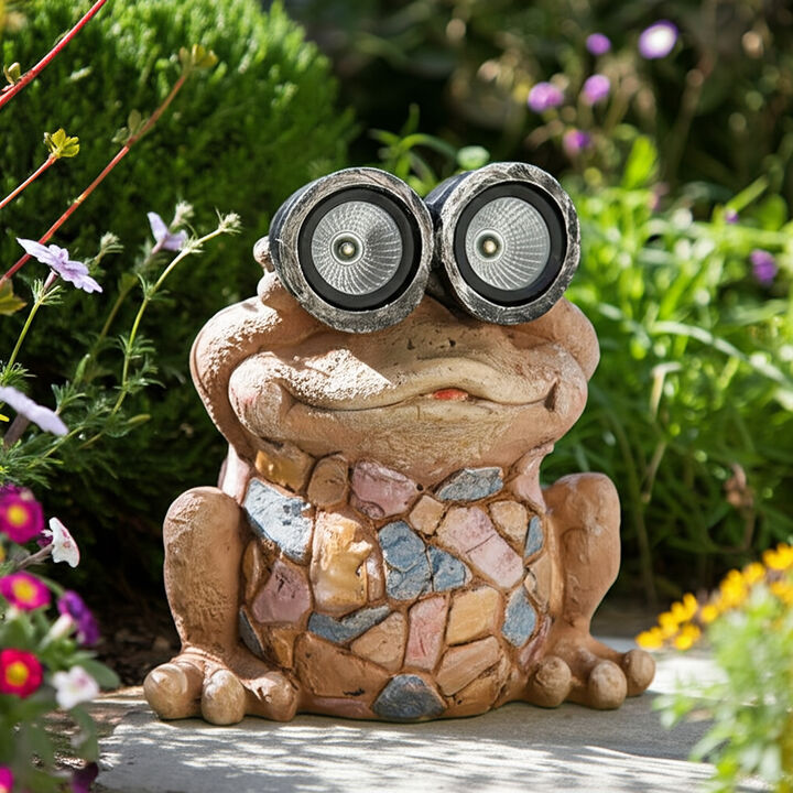 Frog w/Black Solar Goggles