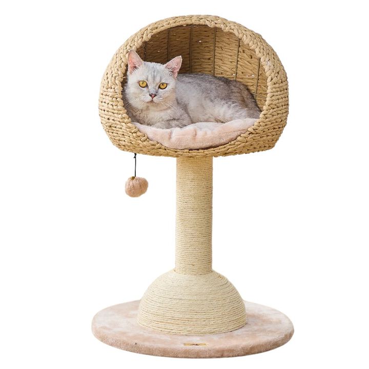 Petpals 30-in Lookout Cat Tree Bed, Beige