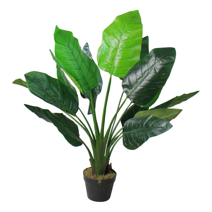 43" Potted Green Artificial Bird of Paradise Plant