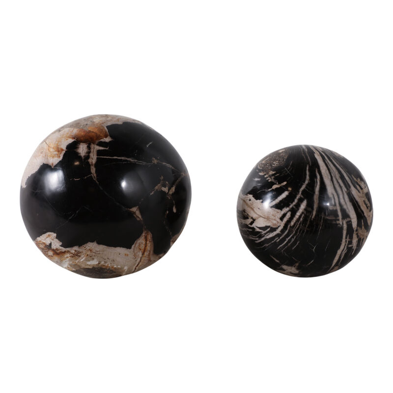 S/2 5/6" Petrified Wood Orbs image number 0
