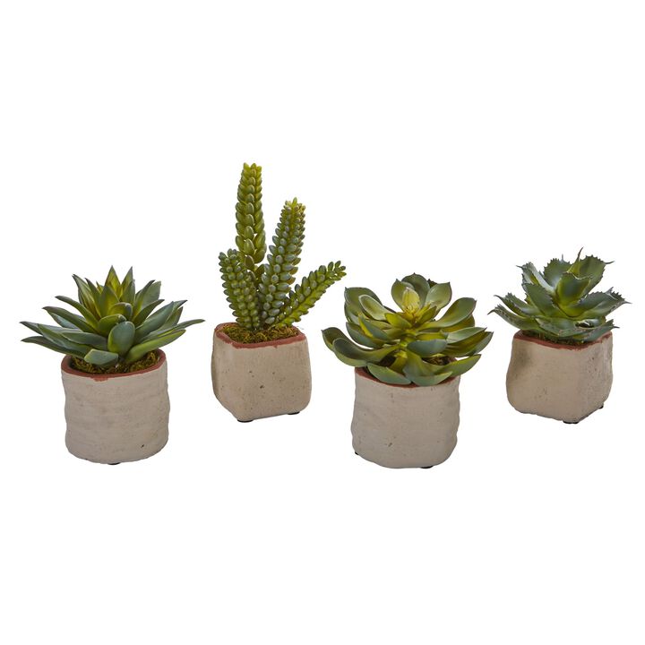 Hivvago Mixed Succulent Artificial Plant (Set of 4)