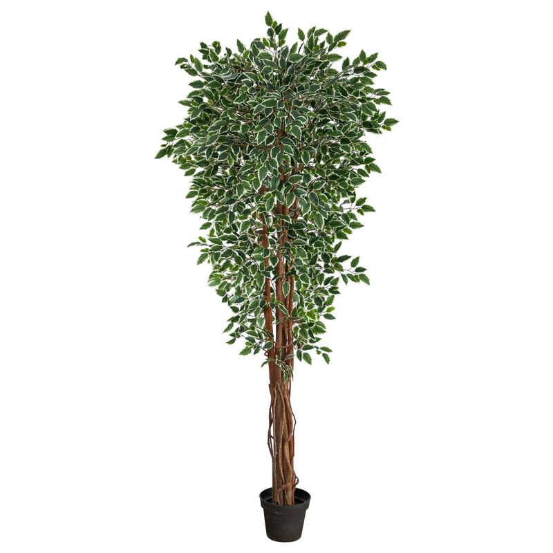 Nearly Natural 70-in Variegated Ficus Tree UV Resistant (Indoor/Outdoor)