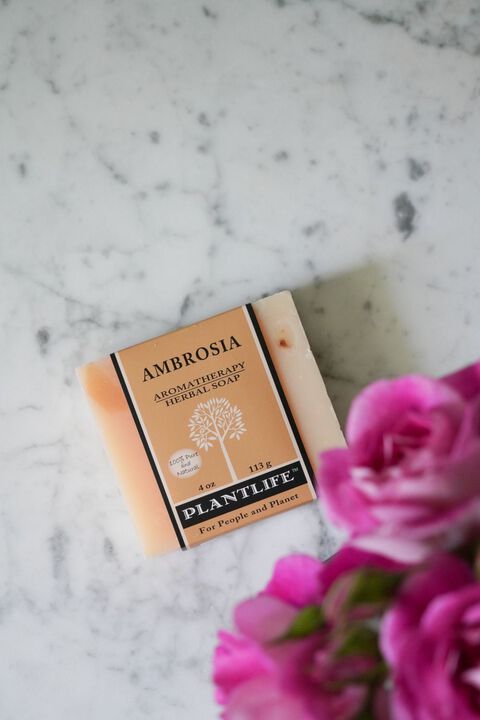 Plantlife Bar Soap - Ambrosia 6 Pack