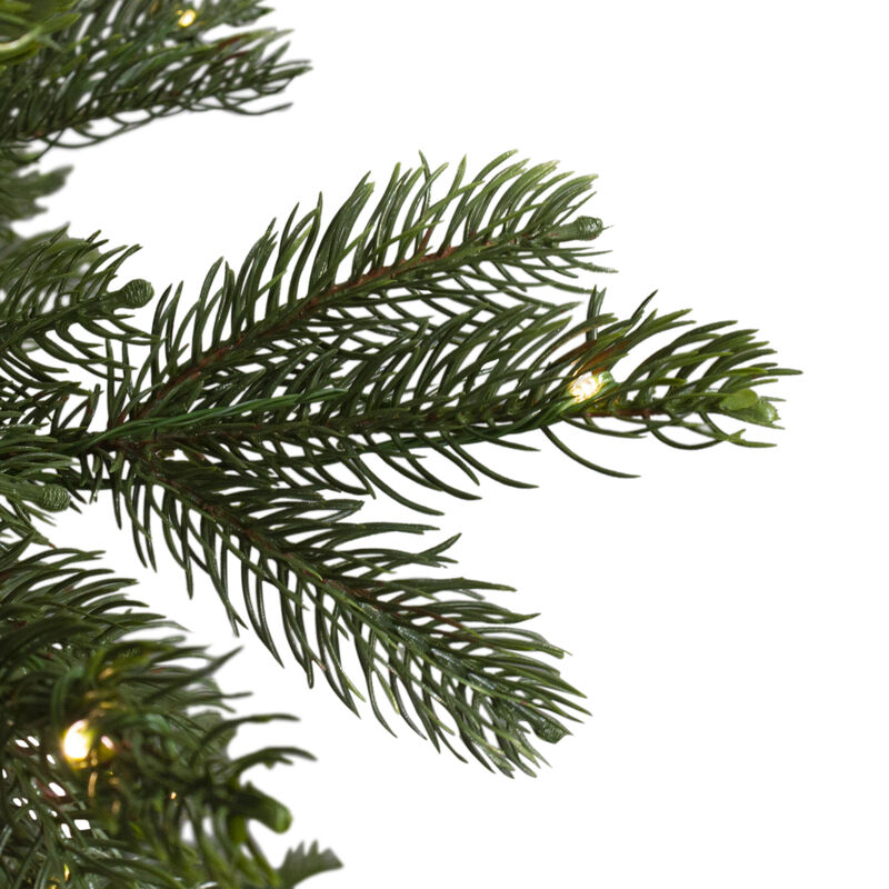 7.5' Pre-Lit Full Oregon Noble Fir Artificial Christmas Tree - Warm White LED Lights