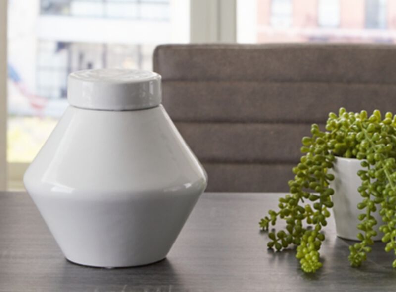 Domina Large Jar (Set of 2)