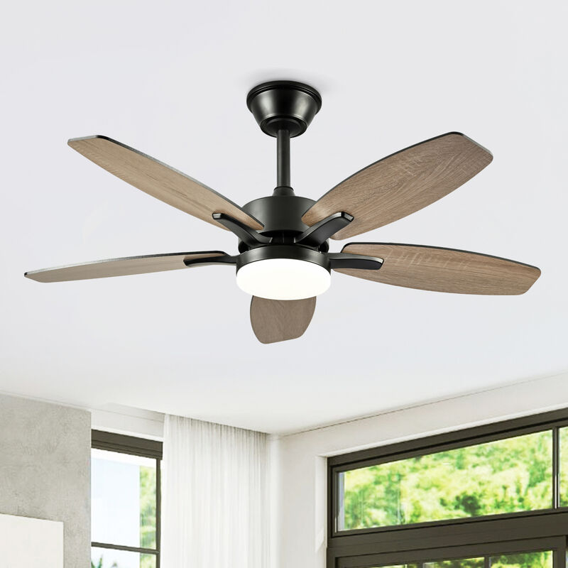 ELEMENT ACE 42 Inch 5 Plywood Blades Ceiling Fan with Lights and Remote Control, Quiet DC Motor 6 Speed Levels Reversible Fan for Indoor Living Room Bedroom Office Patio image number 6