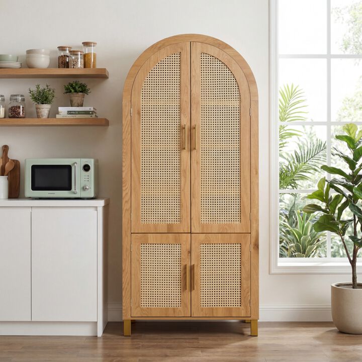 Arched Rattan Door Storage Cabinet