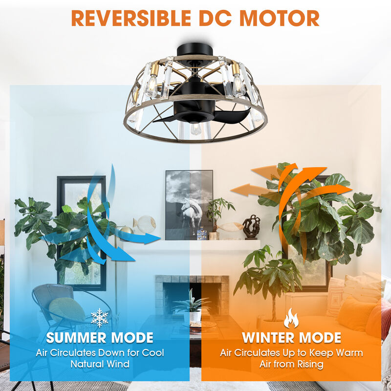 23" Modern Matte Black Reversible Caged Ceiling Fan with Light and Remote image number 5