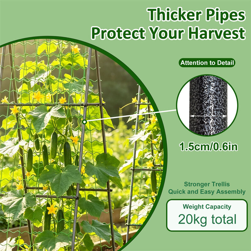 2 x A-Shaped Metal Garden Trellis Cucumber Trellis for Plants Support Vegetable image number 6