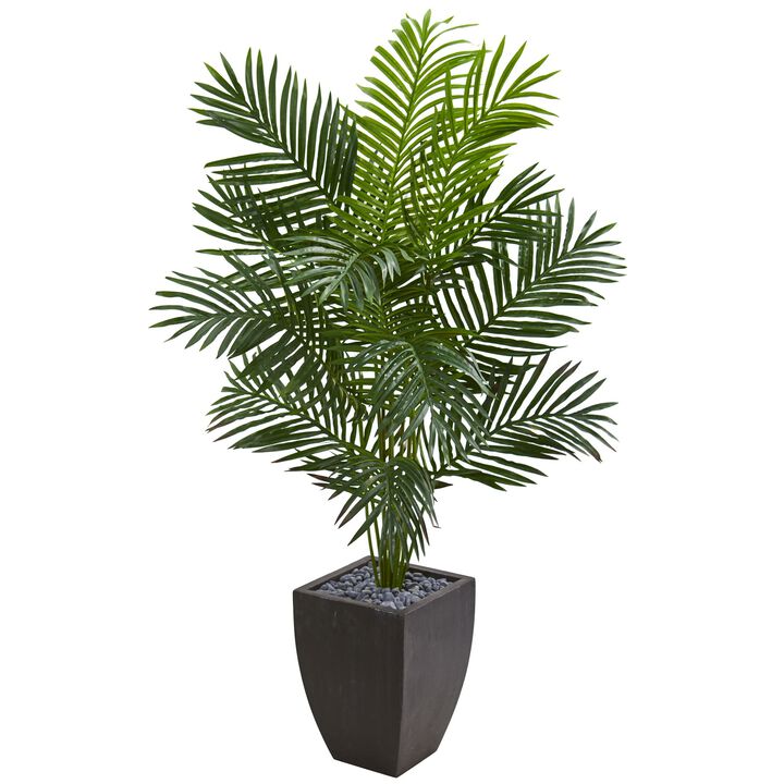 HomPlanti 5.5 Feet Paradise Artificial Palm Tree in Black Planter