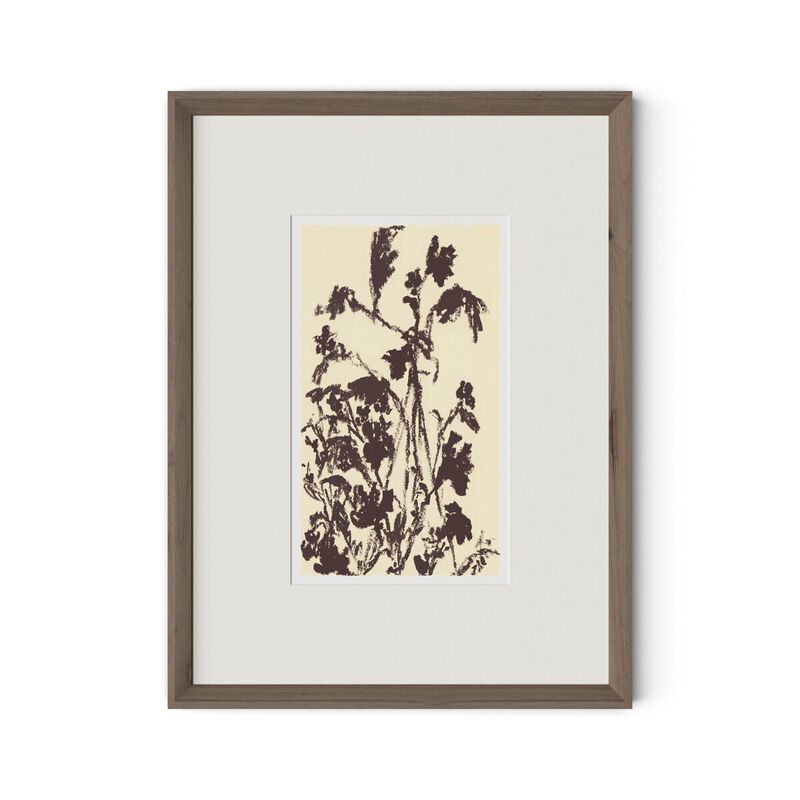 Meadow Rue No.5 by Shaina Page image number 0
