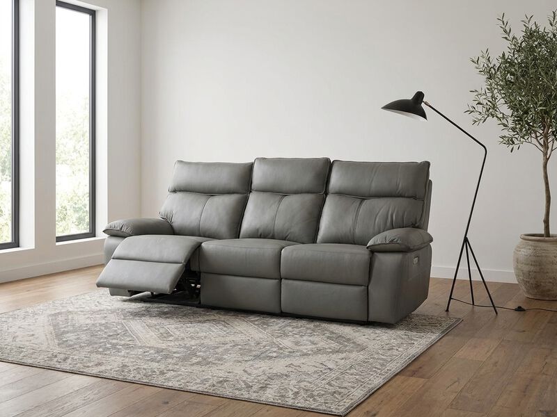 Wildcat Reclining Sofa image number 1