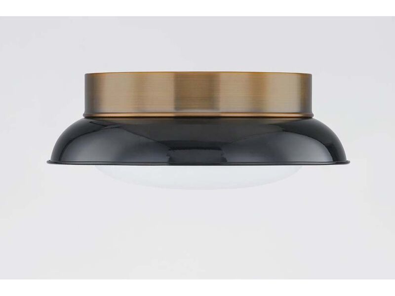 Arnie Flush Mount image number 2