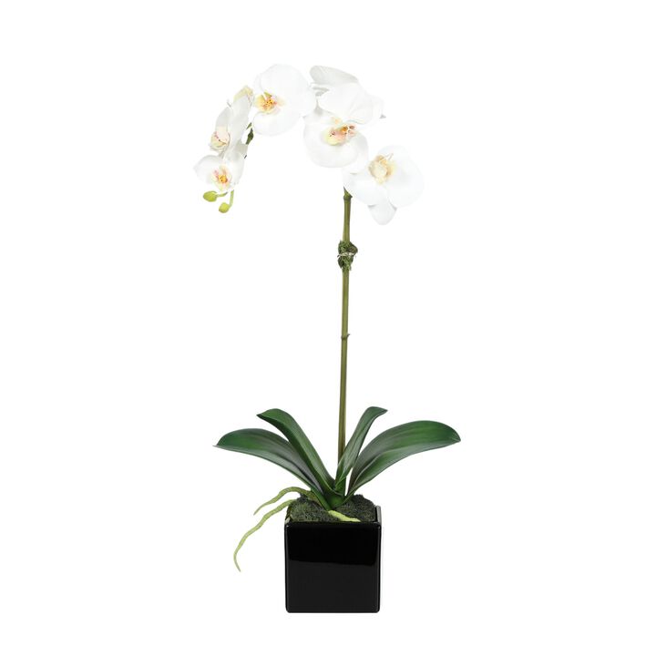 Faux Orchid Plant in Square Vase - 20"
