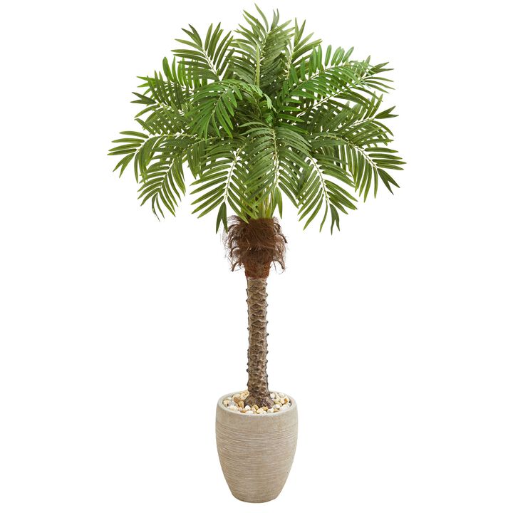 HomPlanti 63 Inches Robellini Palm Artificial Tree in Sandstone Planter