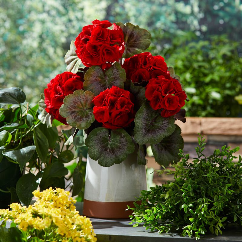 Set of 2 Geranium Floral Bushes for Planters, Vases, or Outdoor Garden Displays