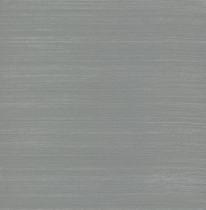 Sakiya Slate Grasscloth Wallpaper (Set of 2)