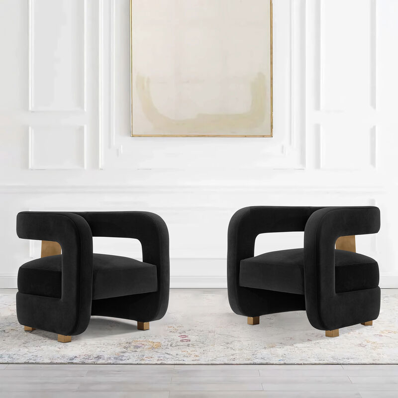 Amirah Black Accent Chairs (Set of 2)