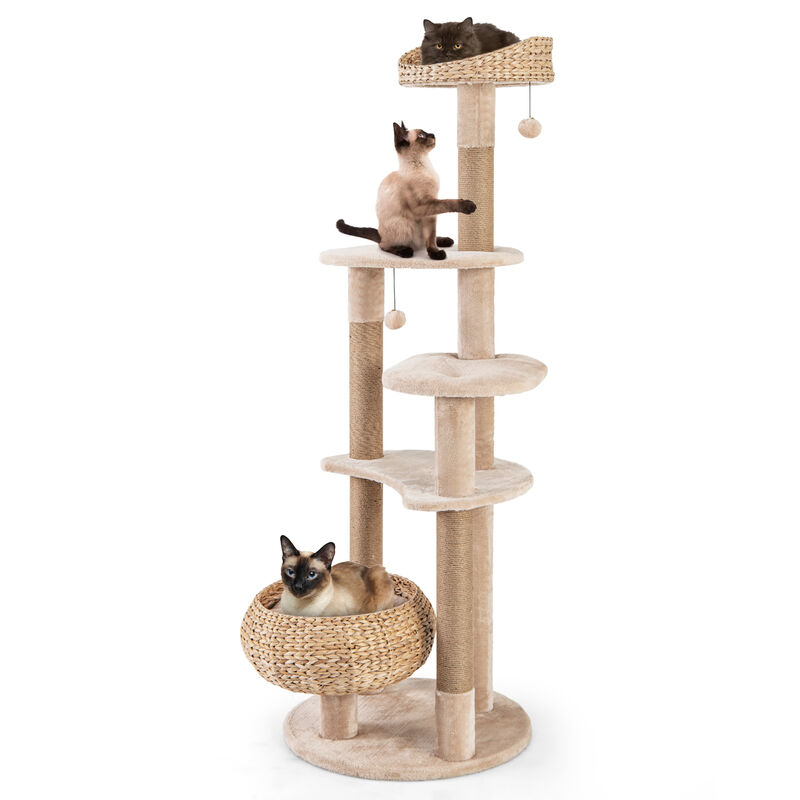 59" Cat Tree for Indoor Cats with Perch, Soft Hammock & Scratching Posts