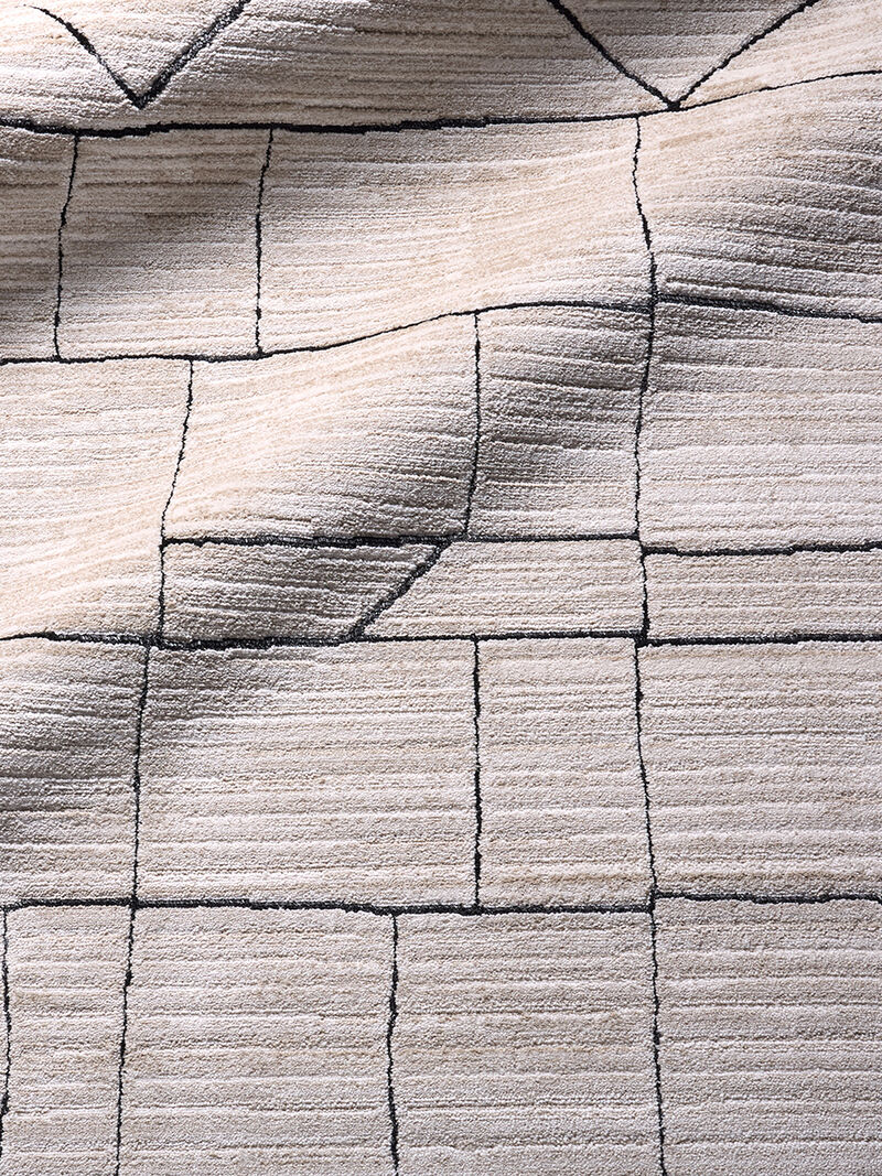 Eva Farhan Tan/Taupe 9'6" x 13'6" Rug image number 6