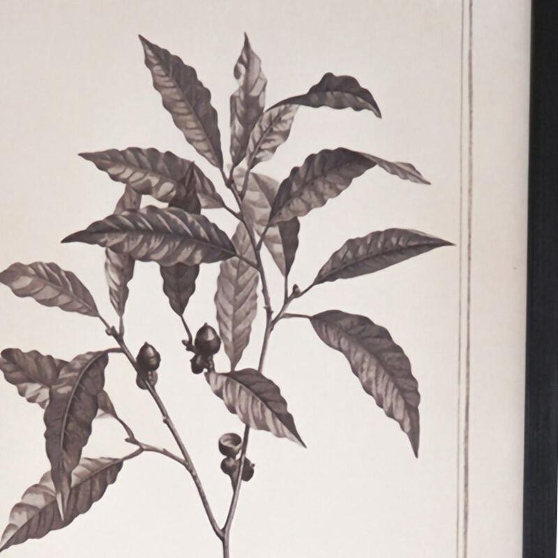 HomeRoots Set of Two Black And White Flower Framed Art image number 2