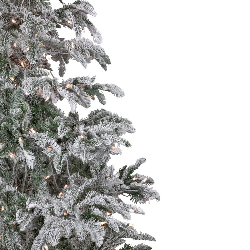 6.5' Pre-Lit Full Flocked Whistler Noble Fir Artificial Christmas Tree - Clear Lights