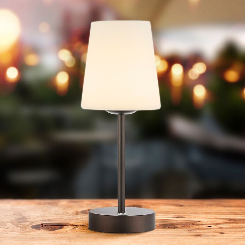 Carson Modern Minimalist Iron Rechargeable Integrated LED Table Lamp