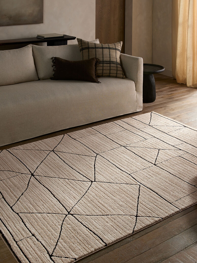 Eva Farhan Tan/Taupe 9'6" x 13'6" Rug image number 2