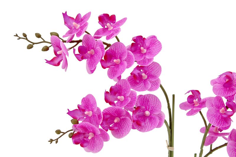 Artificial 2-Stem Phalaenopsis Pink Orchid image number 3