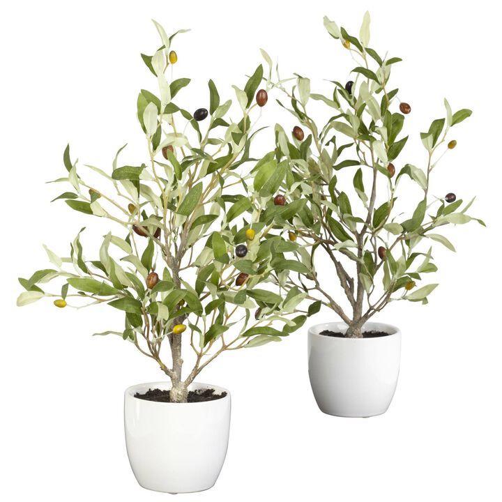 Nearly Natural 18-in Olive Tree w/Vase  (Set of 2)