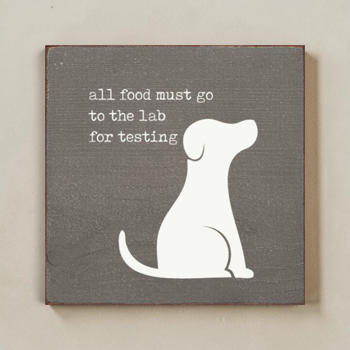 Pet Lover Wood Wall Sign All Food Must Go To The Lab For Testing Solid Pine Decor