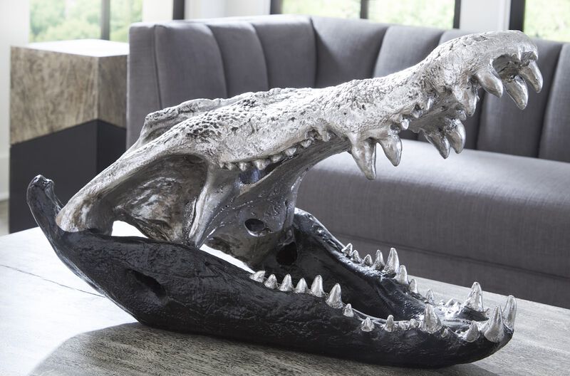 Crocodile Skull