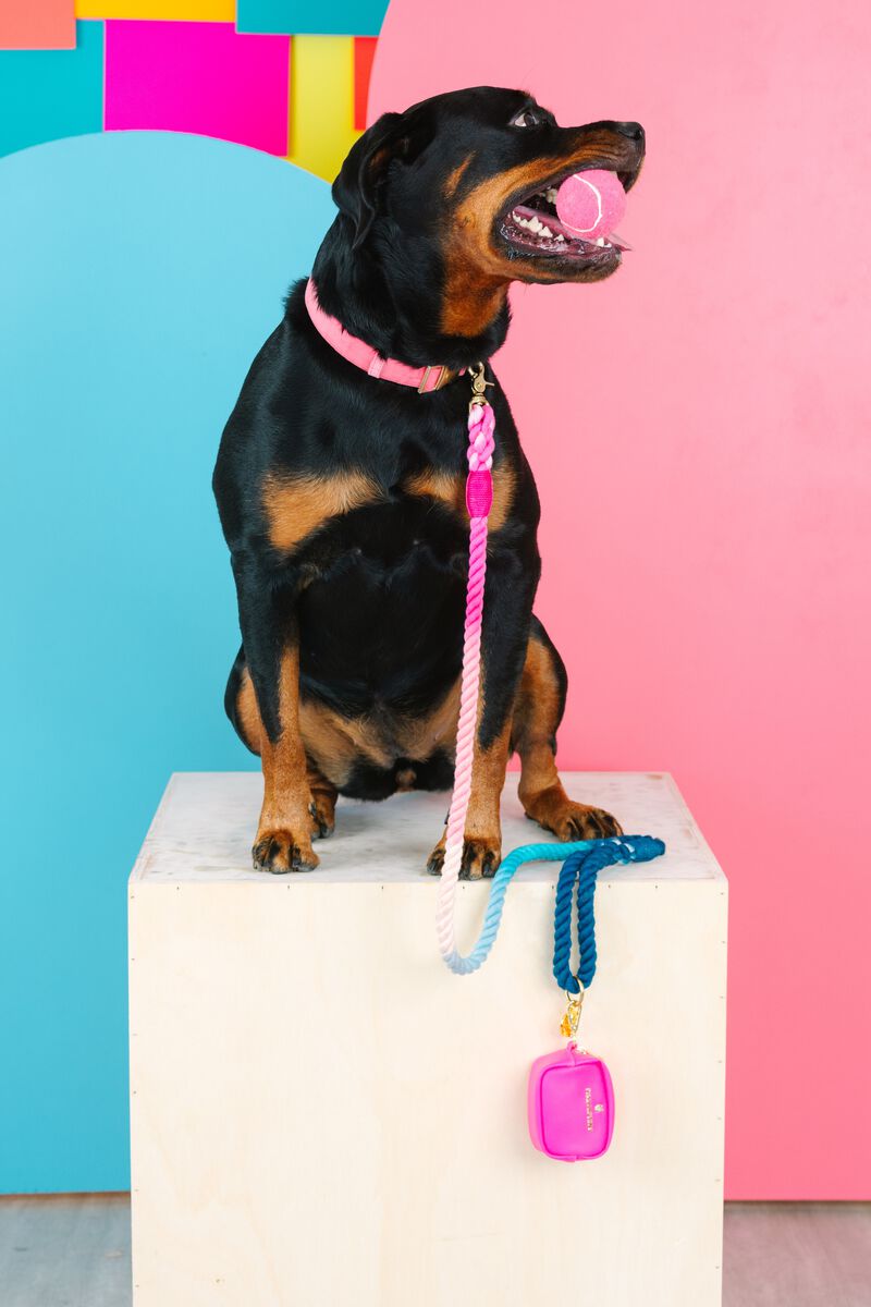 Maddox Rope Dog Leash image number 1