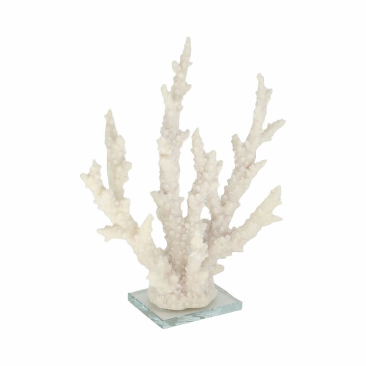 14" Branching Coral On Glass Base, White