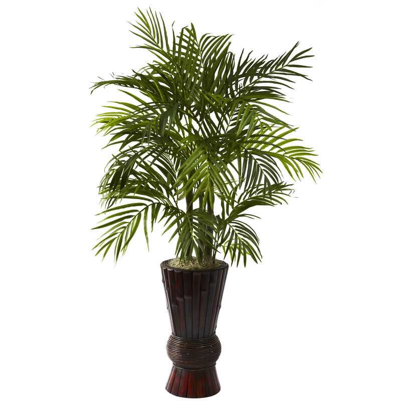 Hivvago 4" Areca w/Bamboo Planter