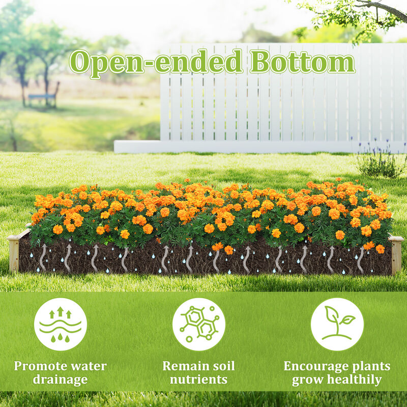 Raised Garden Bed with 2 Planter Boxes and Dividers for Organized and Efficient Outdoor Gardening