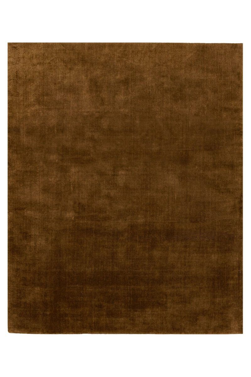 Hudson Sienna 10' x 14' Rug image number 0