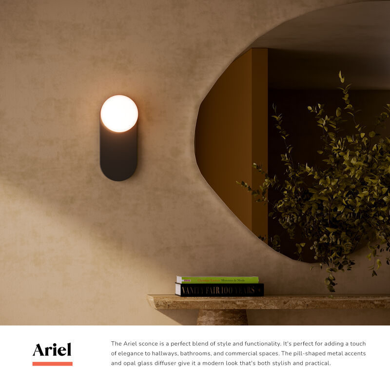 Ariel 12-in Socket Damp-Rated Wall/Vanity Light image number 6