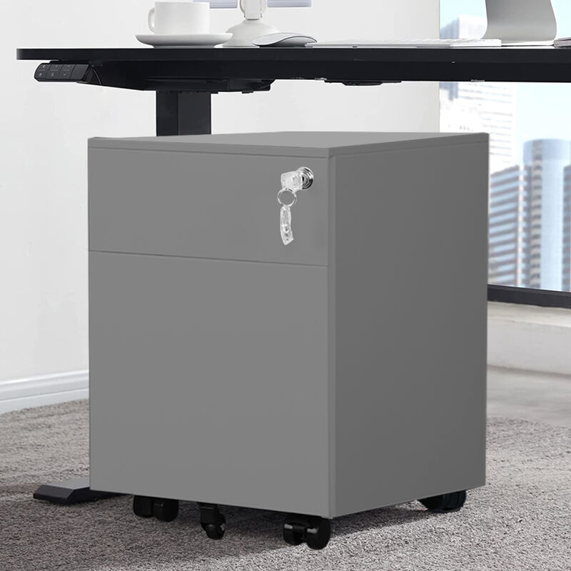 2 Drawer Mobile File Cabinet with Lock Metal Filing Cabinet for Legal/Letter/A4/F4 Size, Fully Assembled Include Wheels, Home/Office Design, Grey