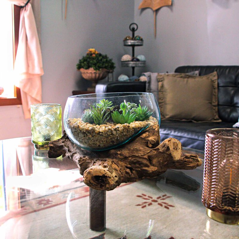Melted Glass Bowl on Teak Driftwood Base, 8&ndash;9" Terrarium Centerpiece Decor image number 4