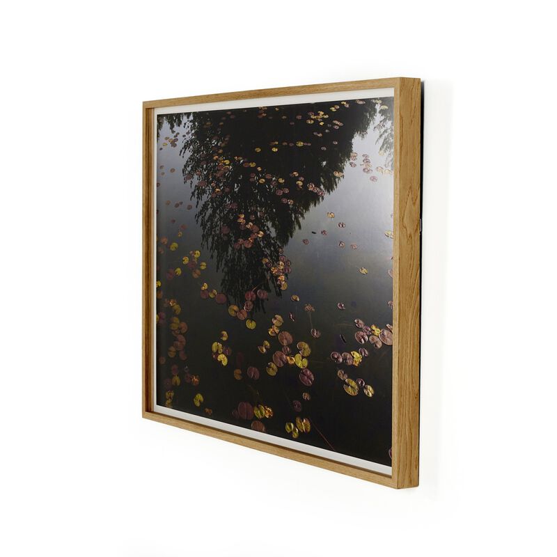 Echo By Shade Degges