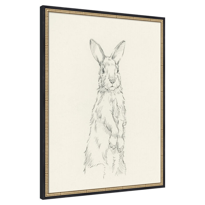All Ears I by Ethan Harper Framed Canvas Wall Art