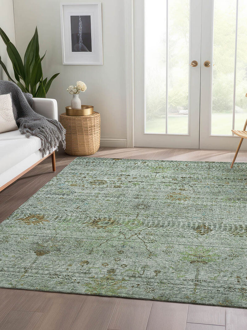 Solace SL4 Aloe 30" x 46" Rug