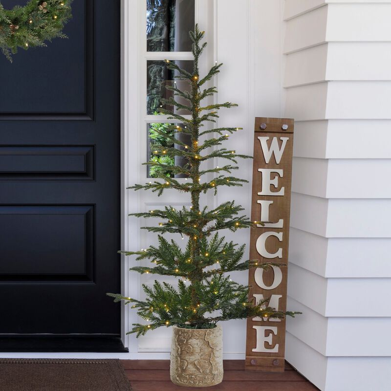 5 Foot Pre-lit Timberland Fir Potted Christmas Tree image number 4