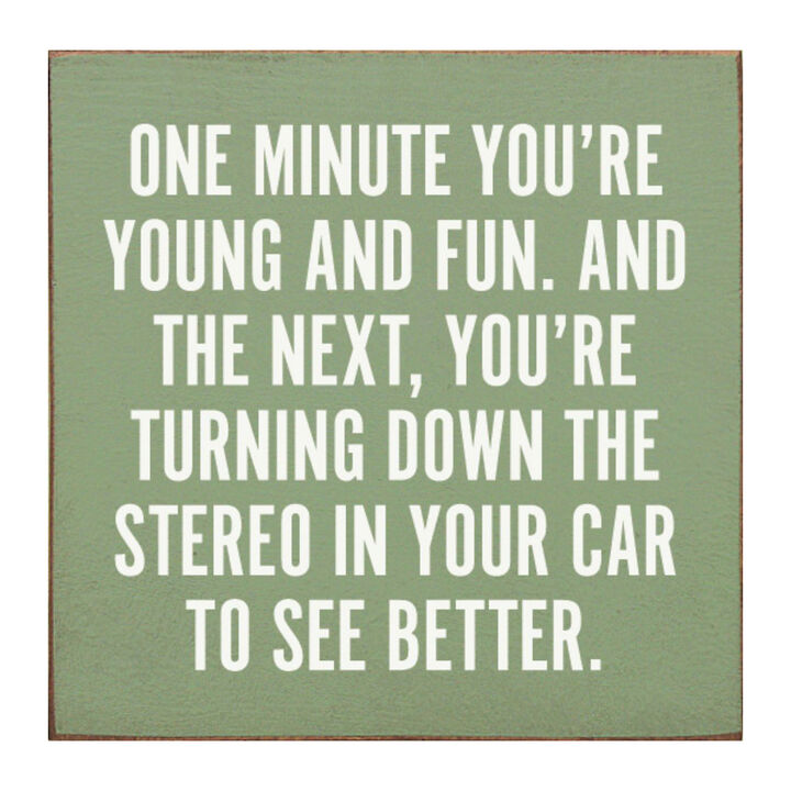 Funny Aging Quote Wood Sign One Minute You're Young and Fun Rustic Home Wall Decor
