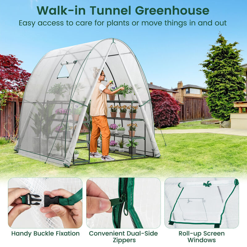 Outdoor Wall-in Tunnel Greenhouse