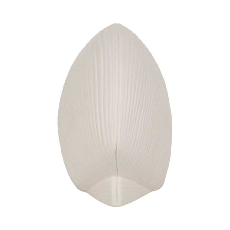 6" Seashell Decor, White image number 2